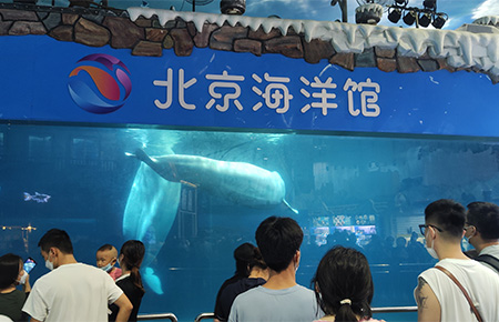 我司助力北京海洋館數字化運維
